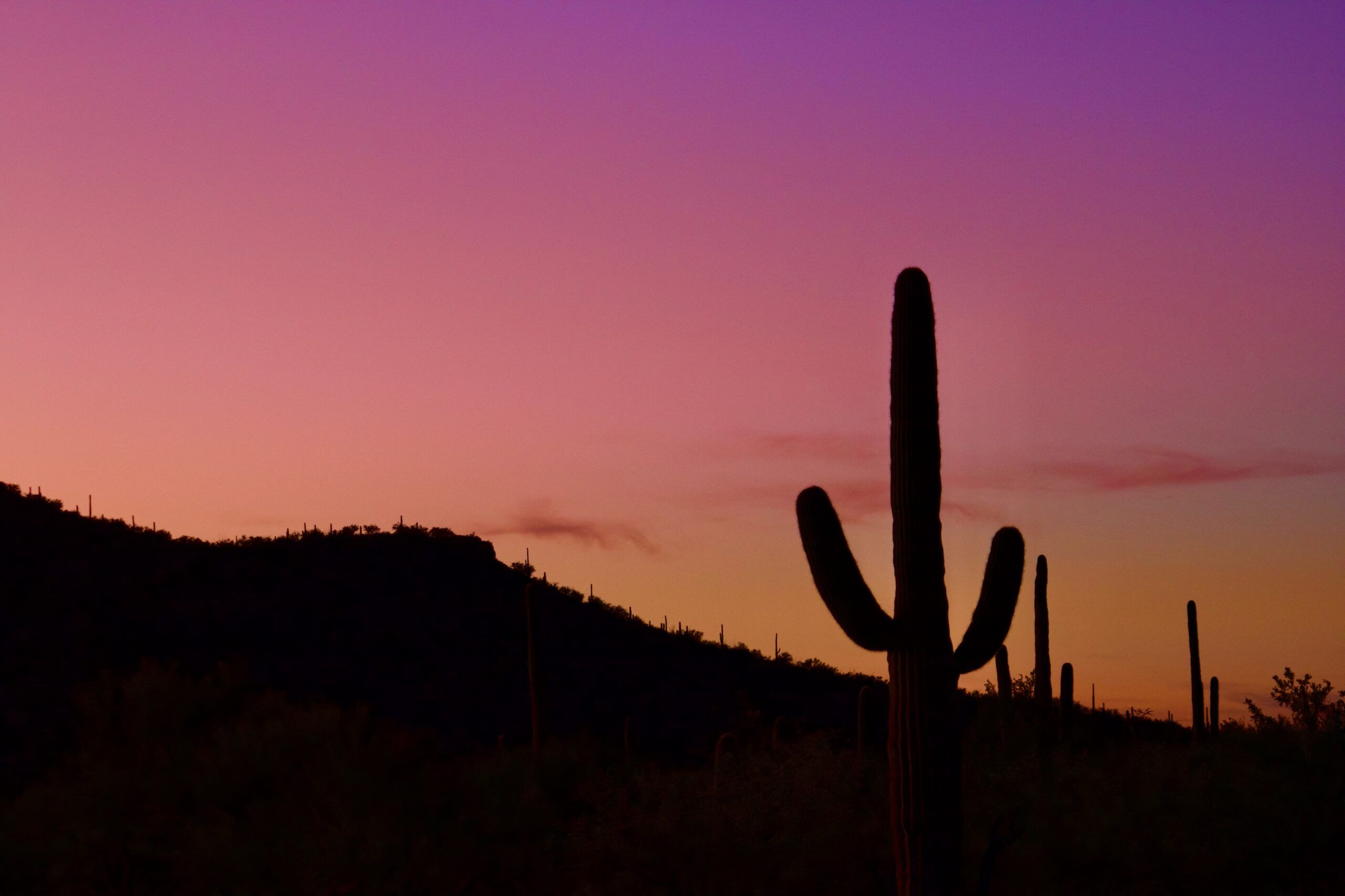 Desert Sunset Background