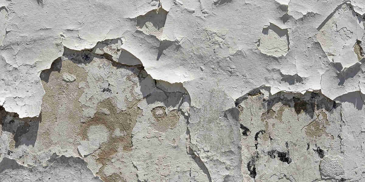 repair water-damaged drywall