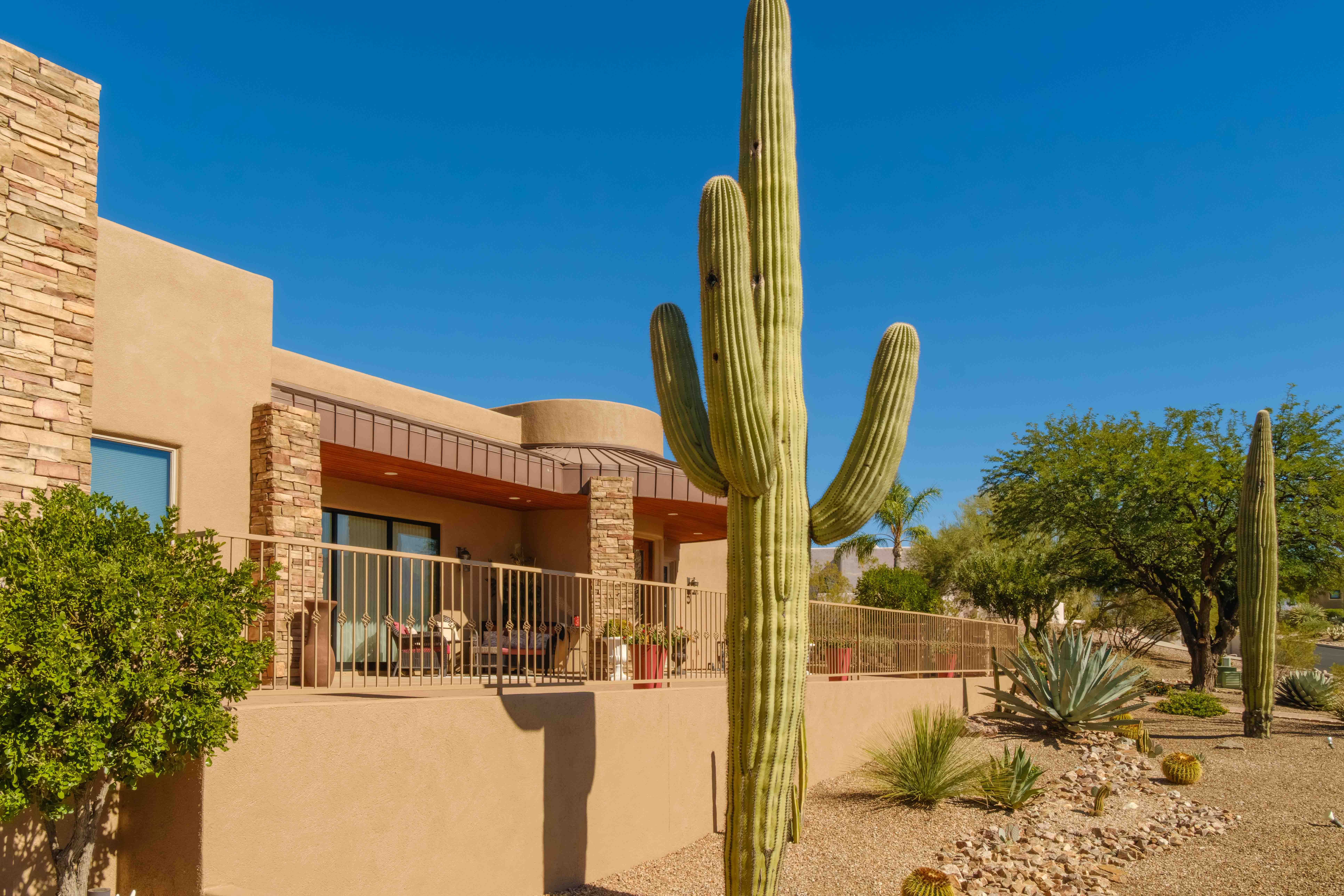 Desert Sunset Background